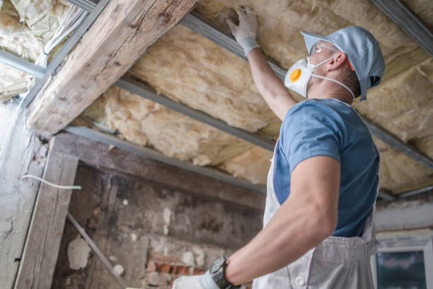 Best Insulation Installation Services in Addis, LA